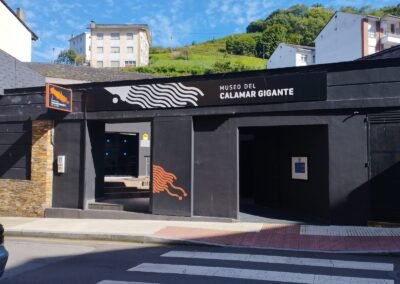 Reforma local Museo del Calamar Gigante en Luarca
