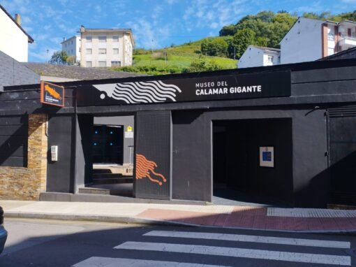 Reforma local Museo del Calamar Gigante en Luarca